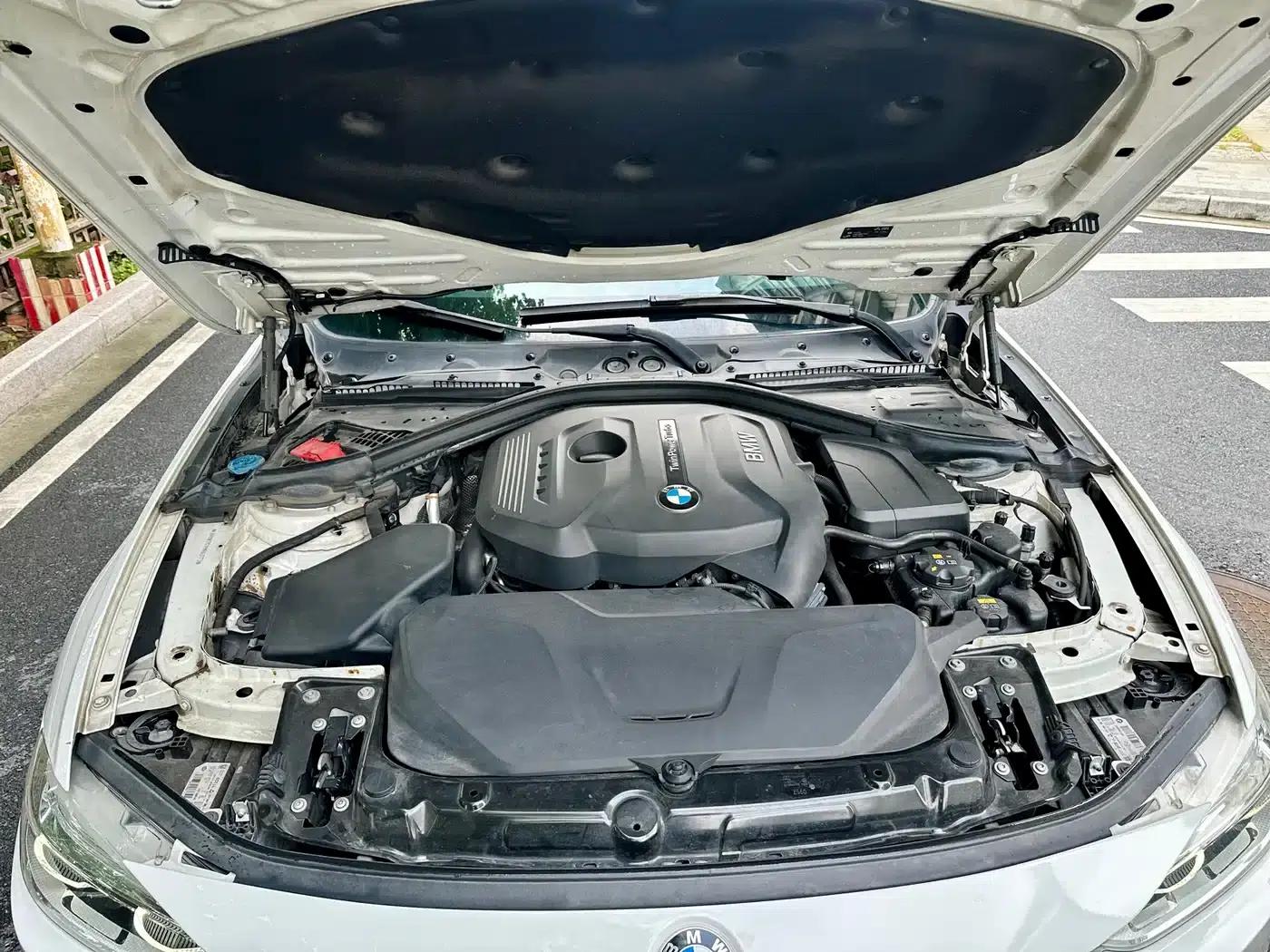 2017 BMW 3 Series 320Li M Sport — миниатюра 8