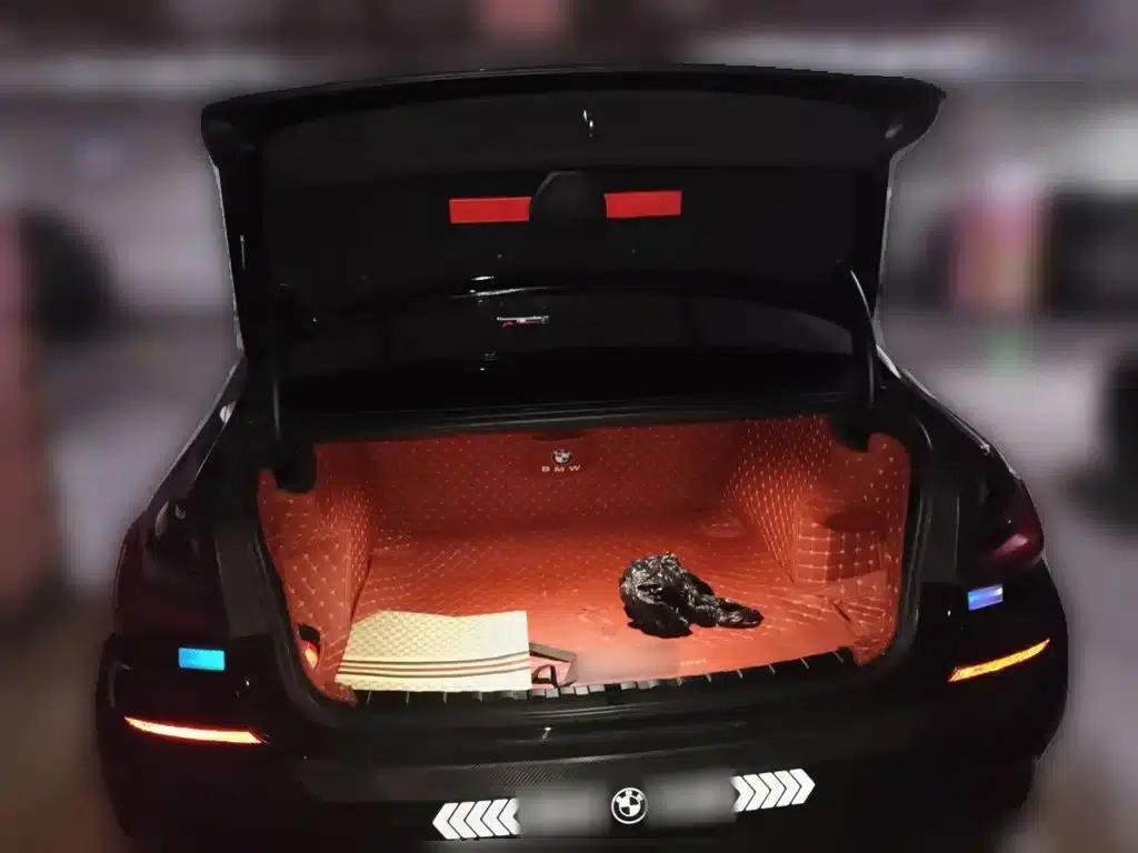 2022 BMW 3 Series 320Li M Sport Package — миниатюра 16