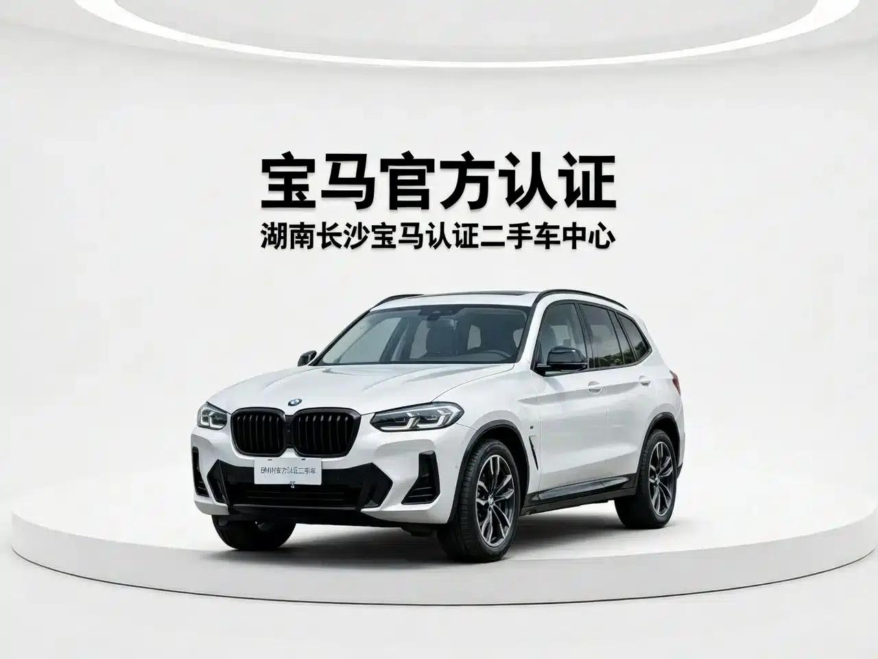 BMW X3 2023 xDrive30i Leading Edition M Sport Package — миниатюра 15