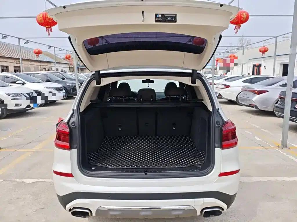 BMW X3 2020 xDrive25i Luxury Package — миниатюра 15