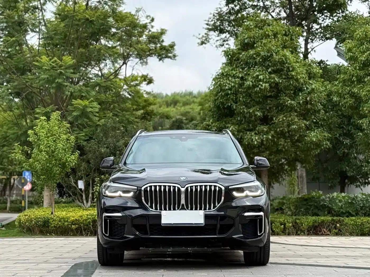 BMW X5 2022 xDrive 30Li M Sport Package — миниатюра 2