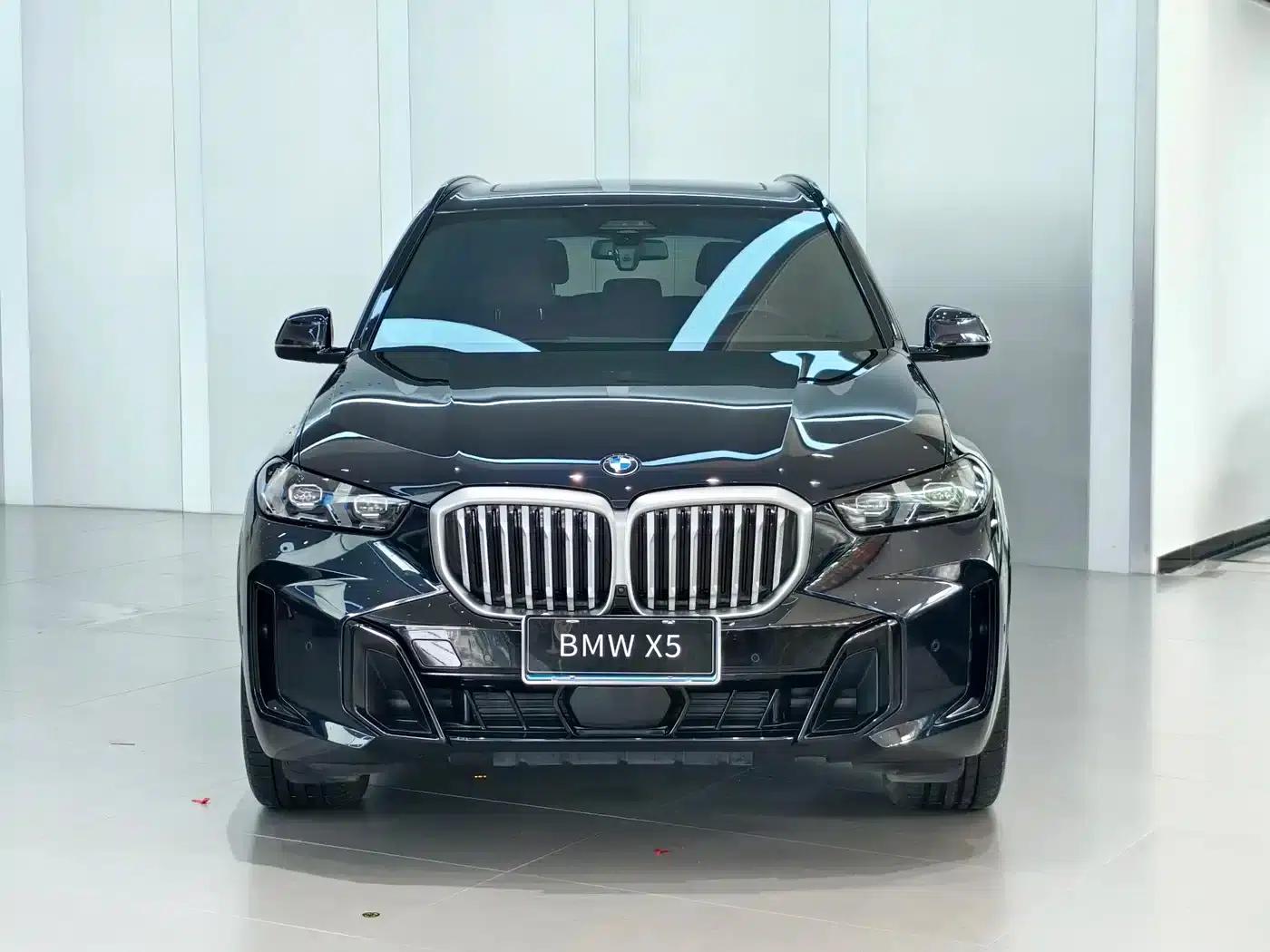 BMW X5 2023 xDrive 40Li M Sport Shadow Edition — миниатюра 2