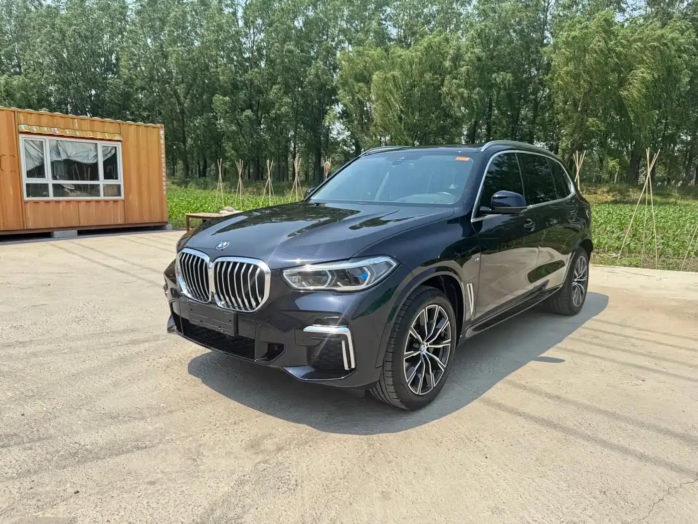 BMW X5 2022 Facelift xDrive 30Li M Sport Package — миниатюра 1