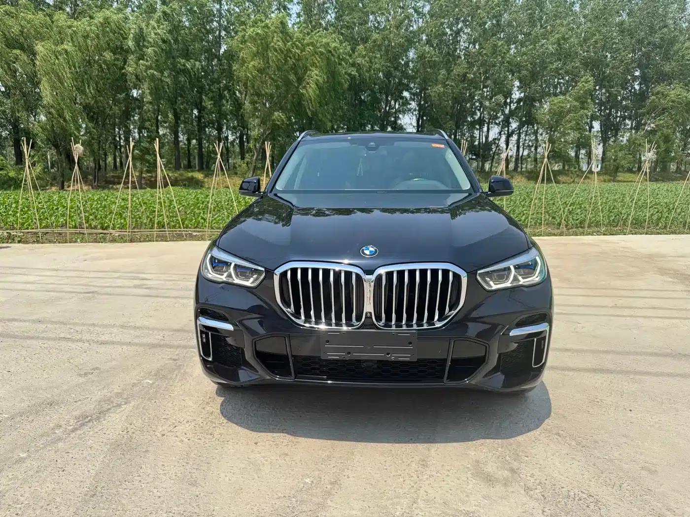 BMW X5 2022 Facelift xDrive 30Li M Sport Package — миниатюра 2