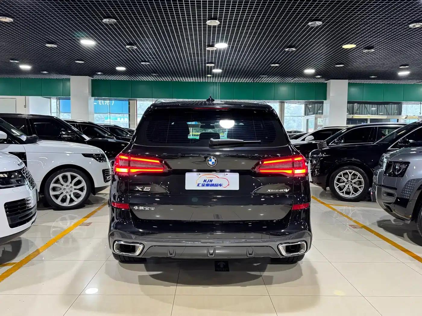 BMW X5 2022 xDrive 40Li Luxury M Sport Package — миниатюра 18