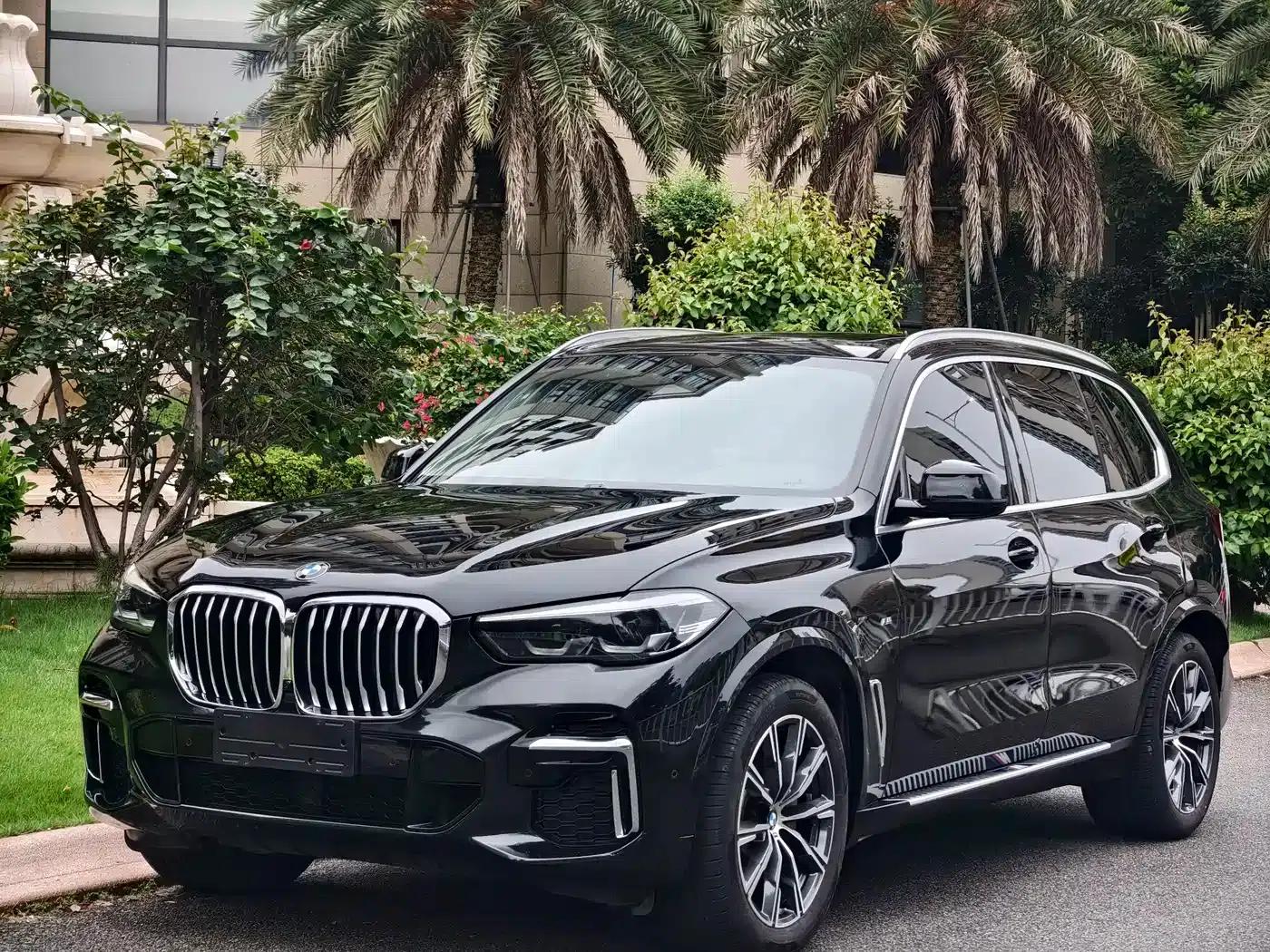 BMW X5 2022 xDrive 30Li M Sport Package — миниатюра 1