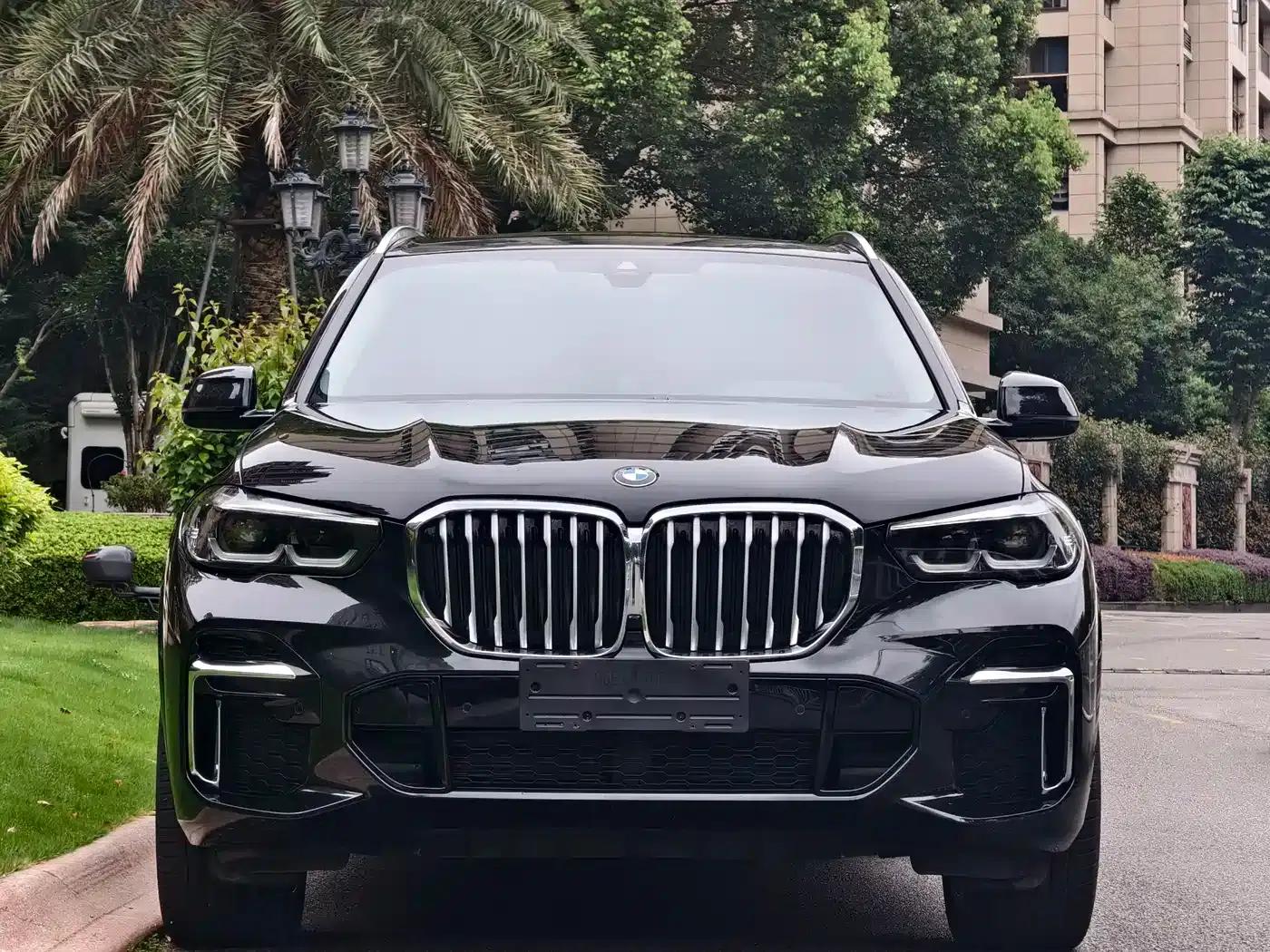 BMW X5 2022 xDrive 30Li M Sport Package — миниатюра 2