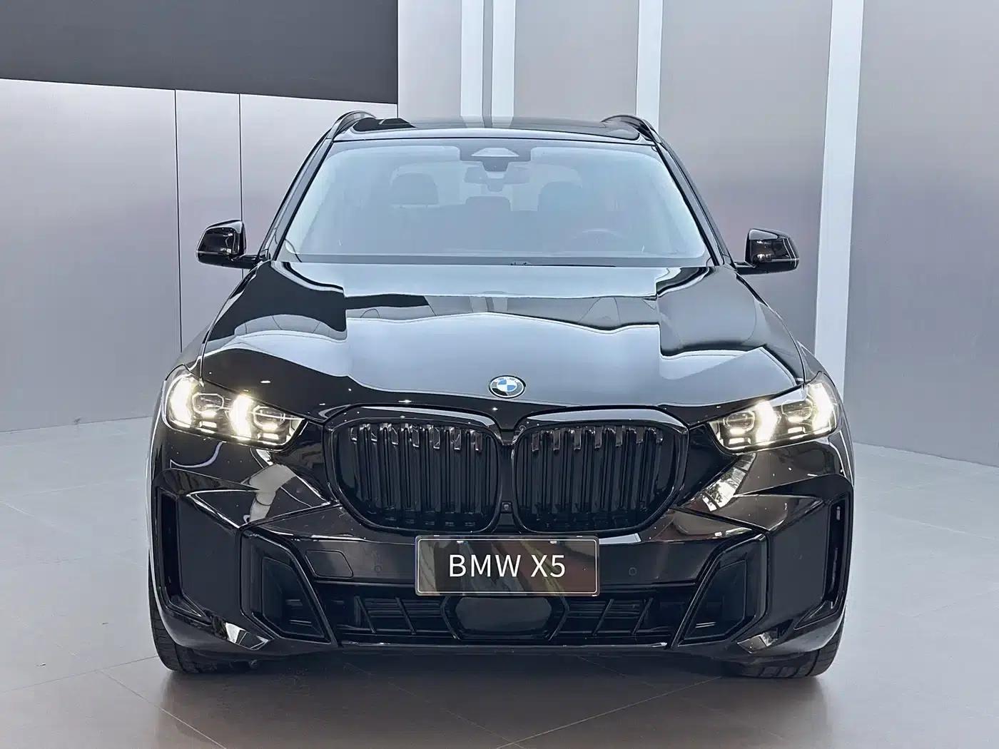 BMW X5 2023 xDrive 30Li Luxury M Sport Package — миниатюра 2
