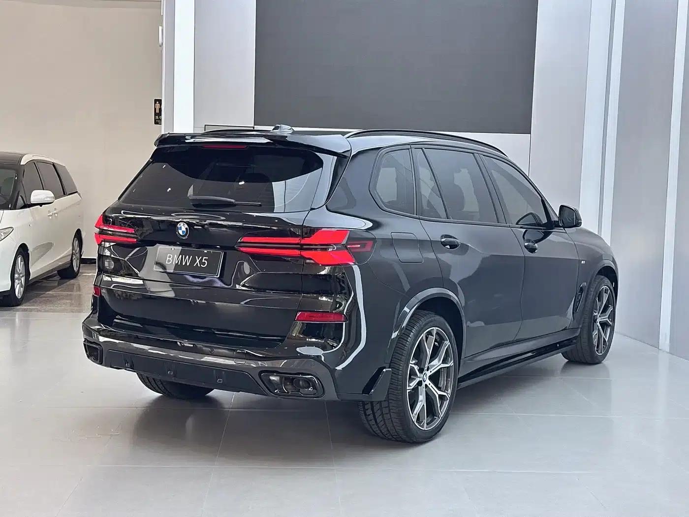 BMW X5 2023 xDrive 30Li Luxury M Sport Package — миниатюра 18