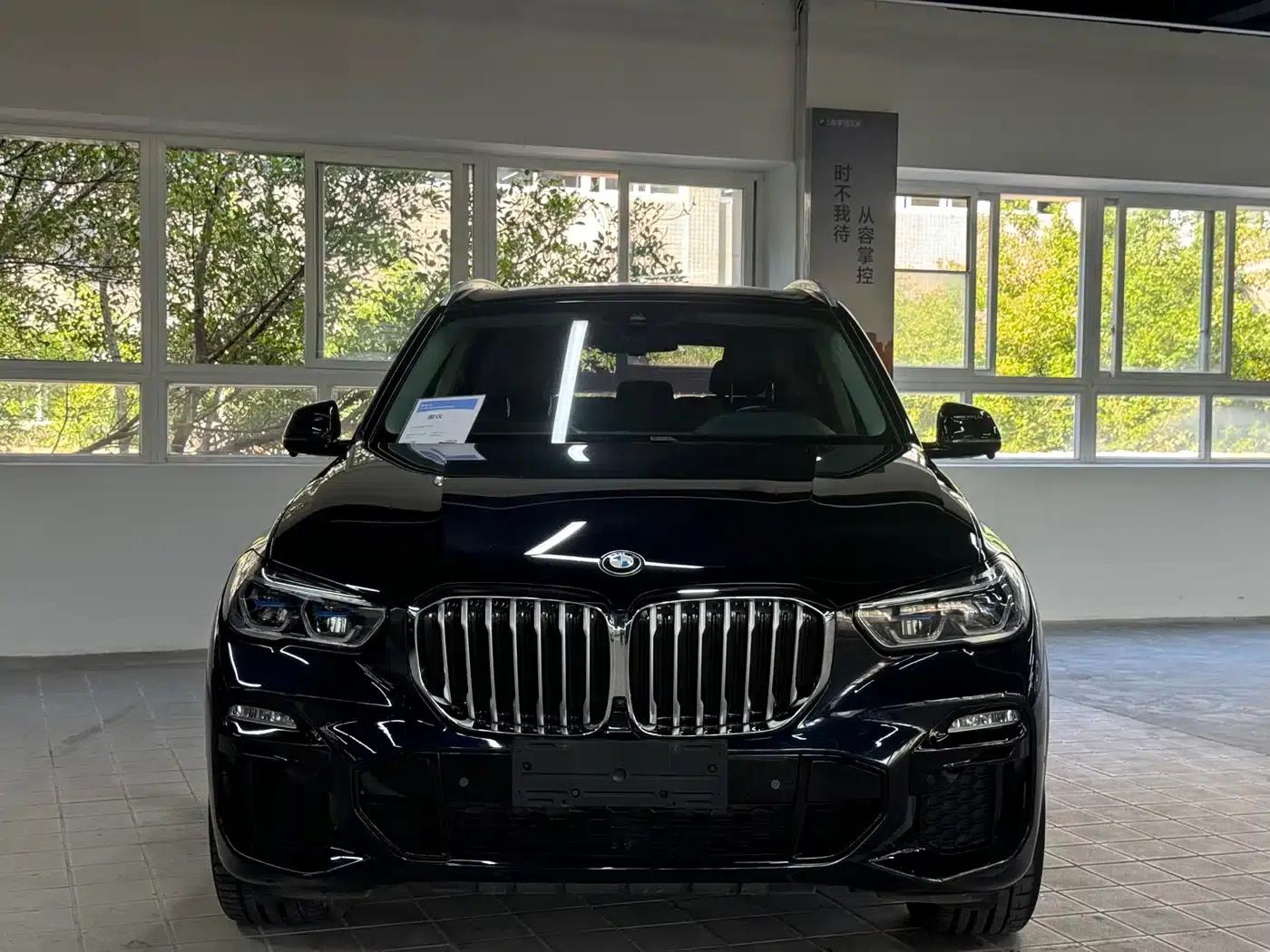 2019 BMW X5 xDrive40i M Sport Package (Imported) — миниатюра 2