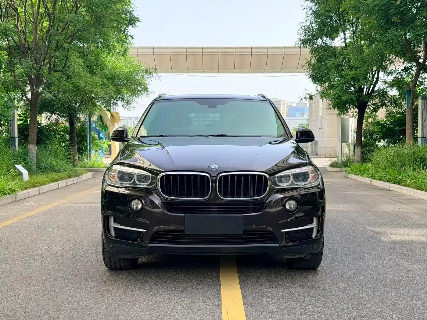 2014 BMW X5 xDrive35i Leading Edition (Imported) — миниатюра 2