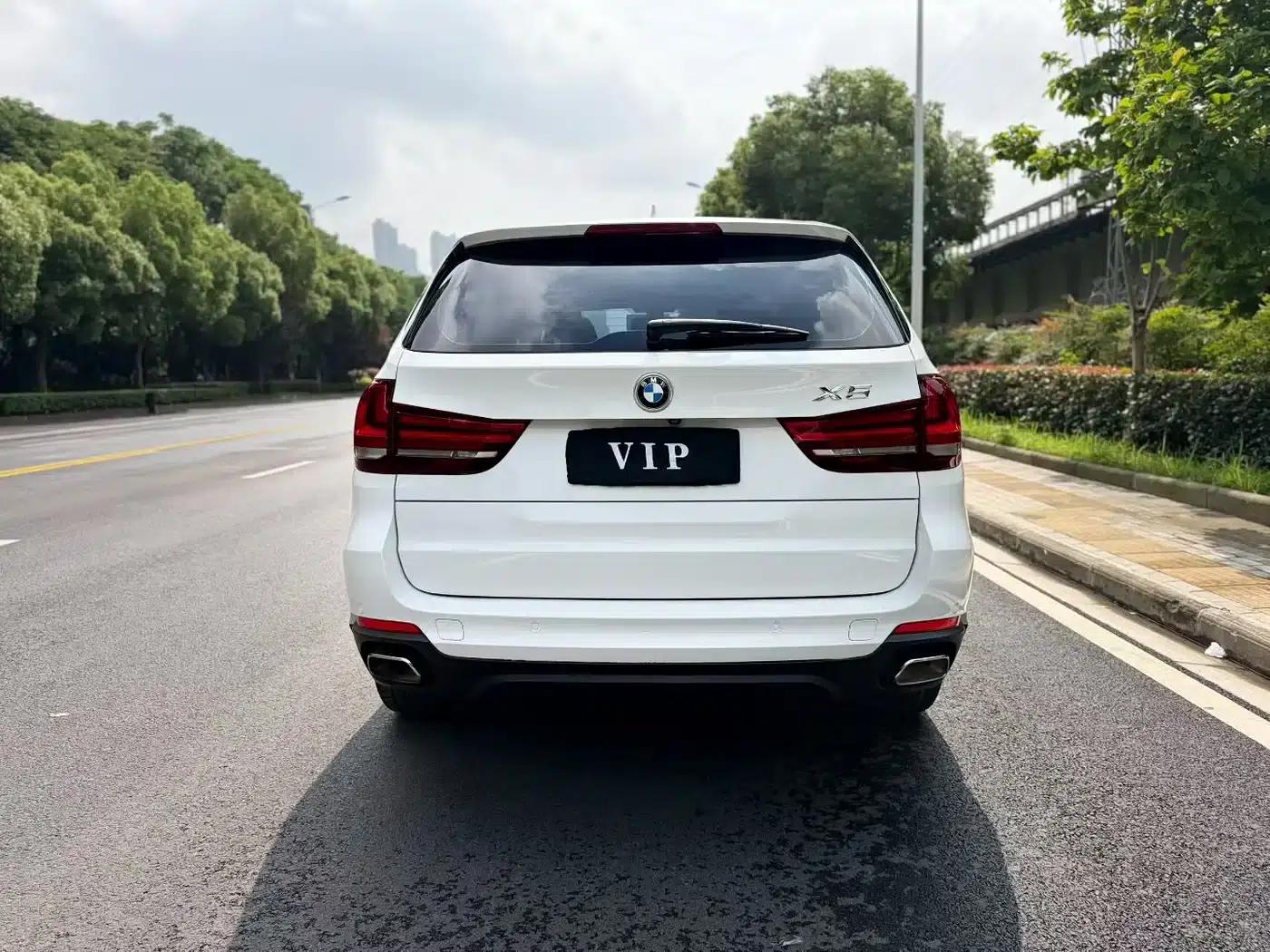 BMW X5 (Imported) 2018 xDrive35i Elegant Edition — миниатюра 8