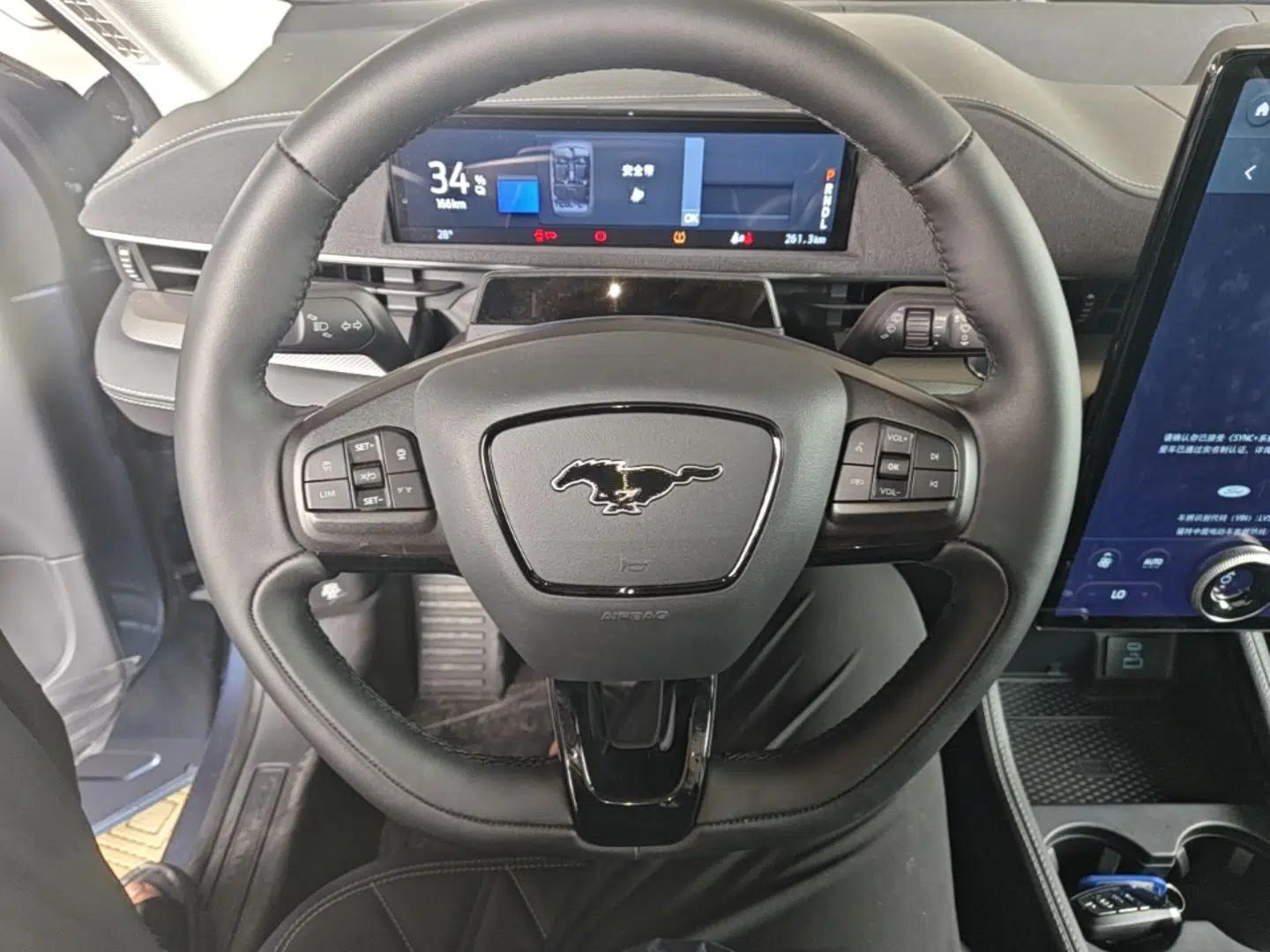 Ford Mustang Mach-E 2021 Leap Edition Rear-Drive Version (Standard Range) — миниатюра 13
