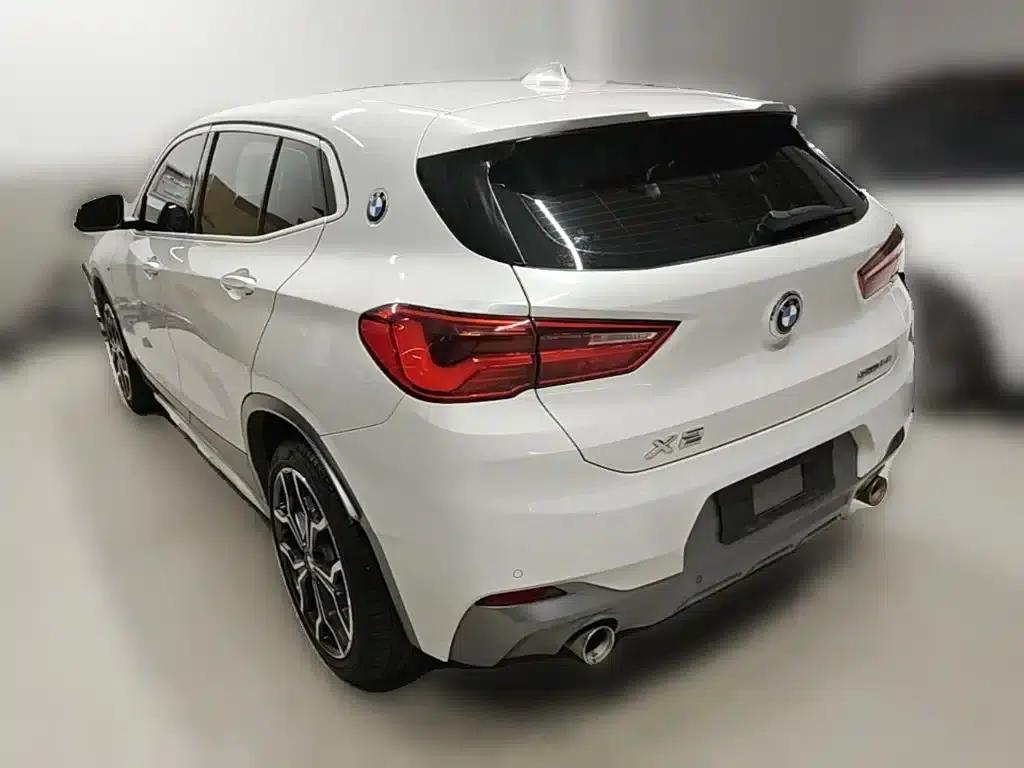 BMW X2 2020 sDrive25i Luxury M Sport Package — миниатюра 9