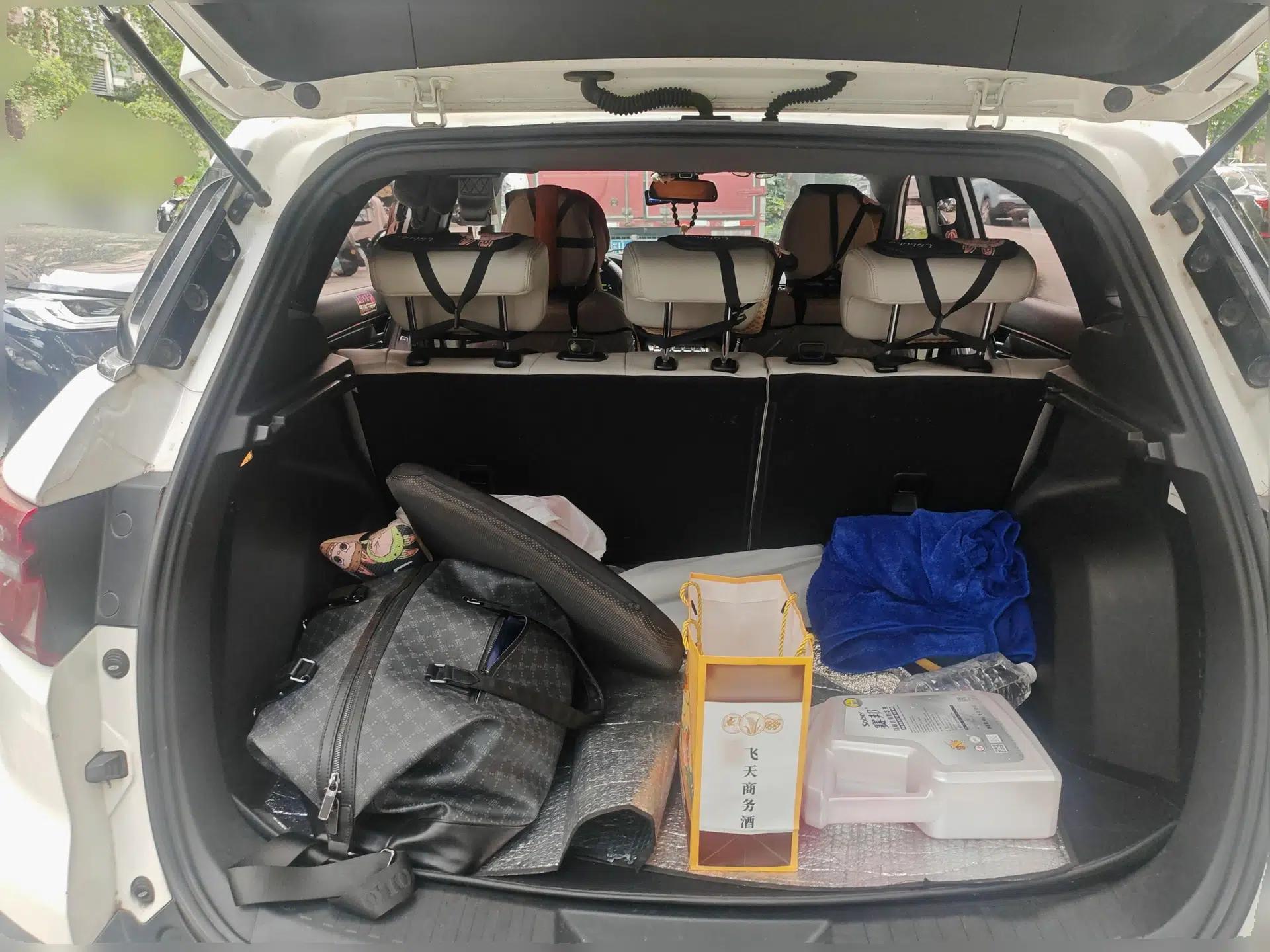 Ford Territory EV 2020 YAO LING Model — миниатюра 19