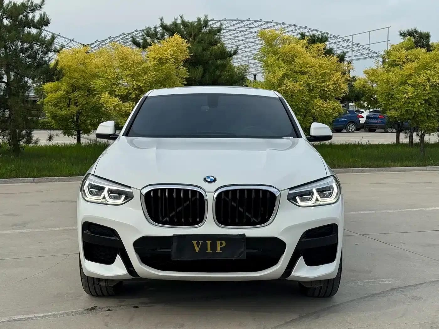 2020 BMW X4 xDrive25i M Sport Package — миниатюра 2