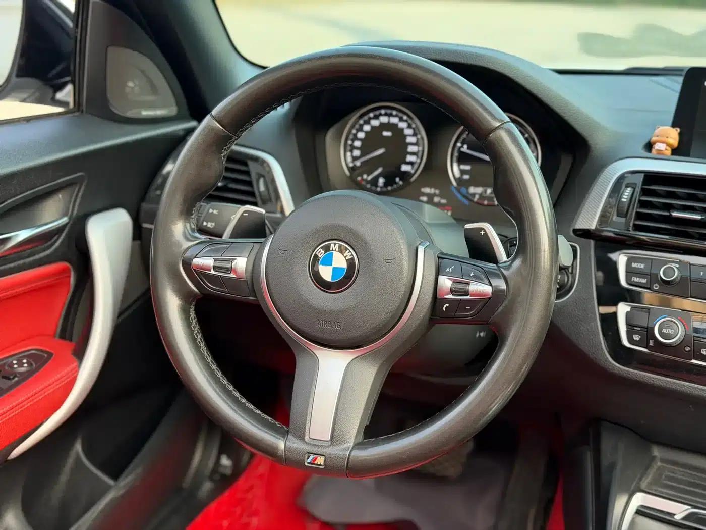 2019 BMW 2 Series Imported 225i Convertible Coupe, M Sport Package — миниатюра 11