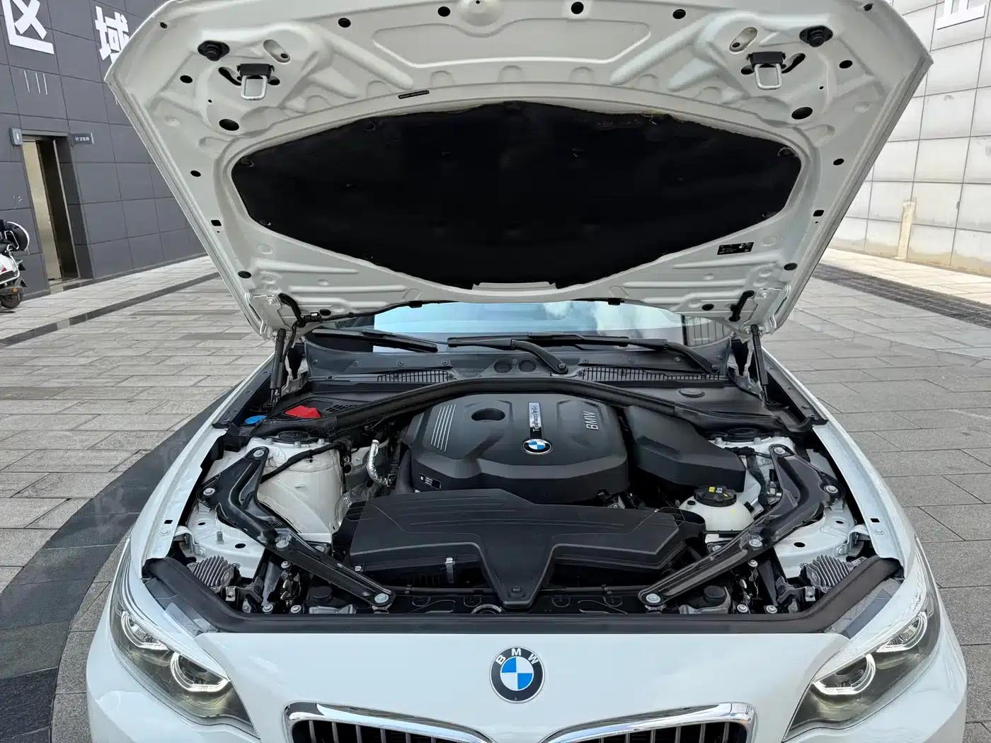 2018 BMW 2 Series Imported 220i Convertible Coupe with Sport Design Package — миниатюра 11