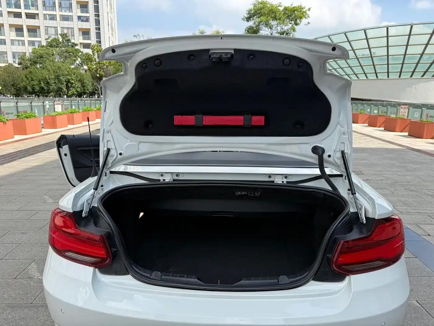 2018 BMW 2 Series Imported 220i Convertible Coupe with Sport Design Package — миниатюра 32