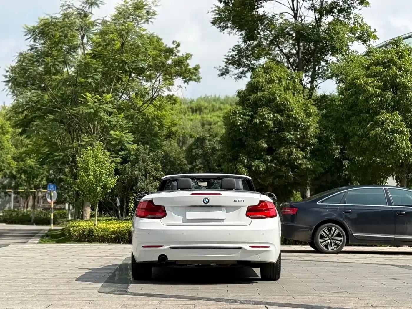 2018 BMW 2 Series Imported 220i Convertible Coupe with Sport Design Package — миниатюра 8
