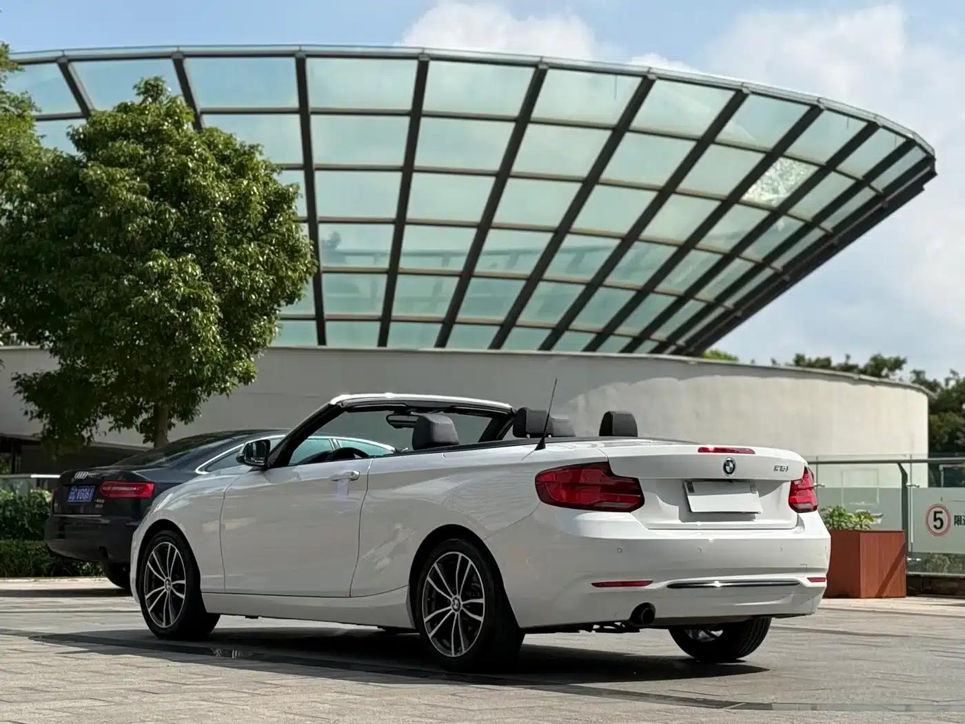 2018 BMW 2 Series Imported 220i Convertible Coupe with Sport Design Package — миниатюра 9