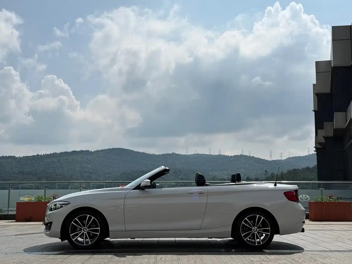 2018 BMW 2 Series Imported 220i Convertible Coupe with Sport Design Package — миниатюра 10