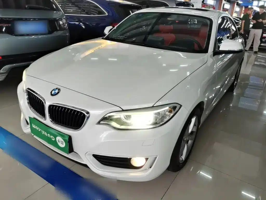 BMW 2 Series (Imported) 2014 220i Leading Edition — миниатюра 1