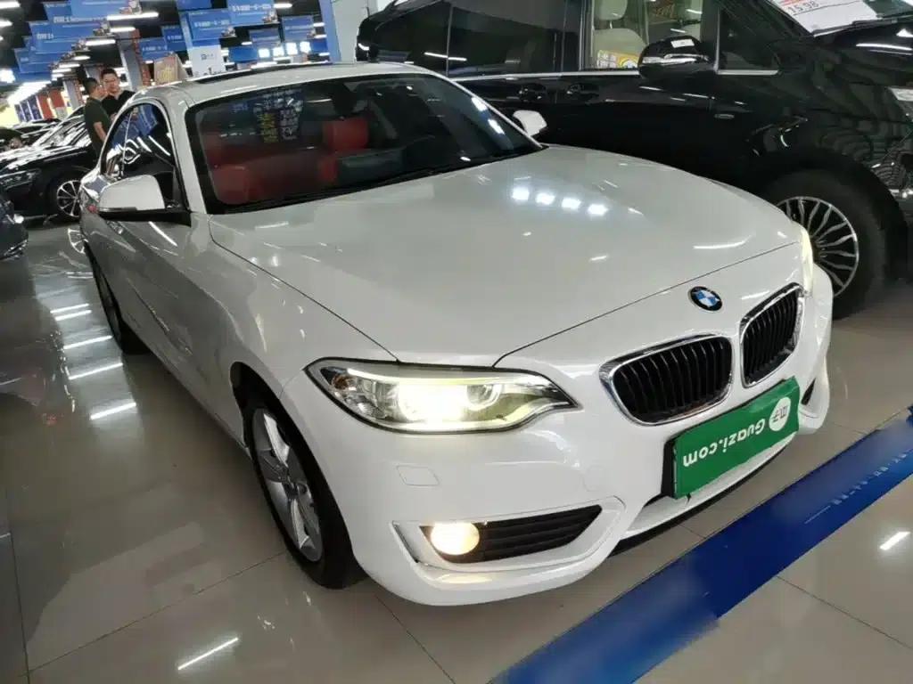 BMW 2 Series (Imported) 2014 220i Leading Edition — миниатюра 4