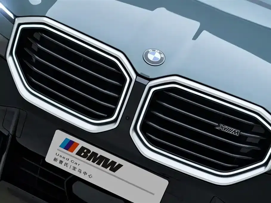 BMW XM 2023 50e — миниатюра 5
