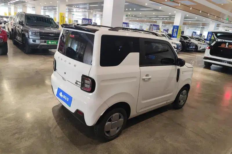 Panda 2024 Model 200km Panda Mini Endurance Bear — миниатюра 3