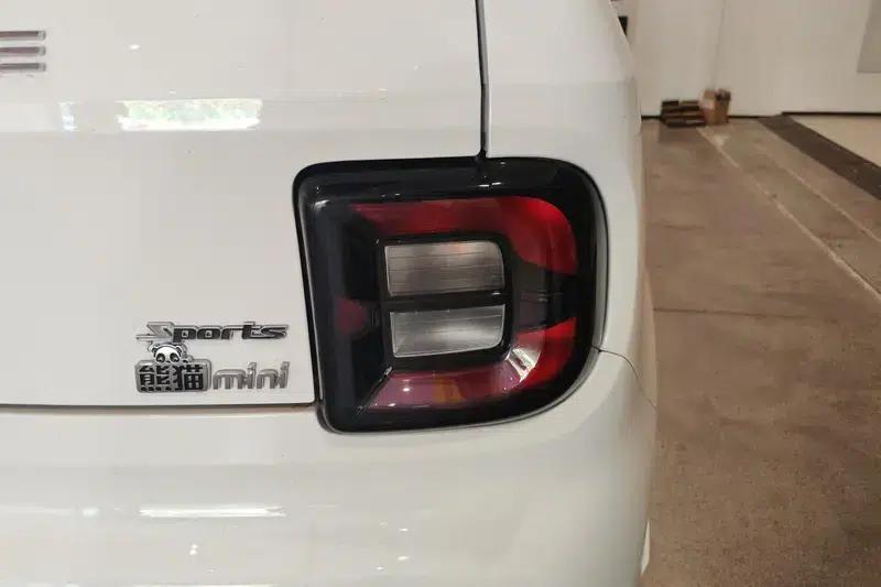 Panda 2024 Model 200km Panda Mini Endurance Bear — миниатюра 6