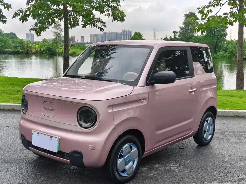 Panda 2023 Model 200km Panda Mini Endurance Bear — миниатюра 1
