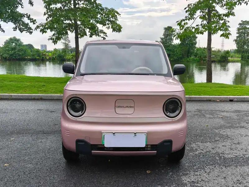 Panda 2023 Model 200km Panda Mini Endurance Bear — миниатюра 2