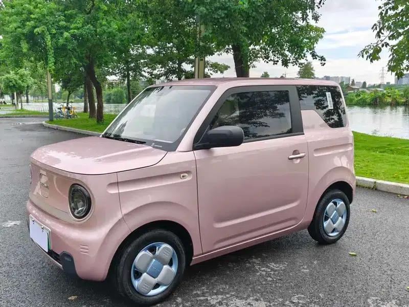 Panda 2023 Model 200km Panda Mini Endurance Bear — миниатюра 13