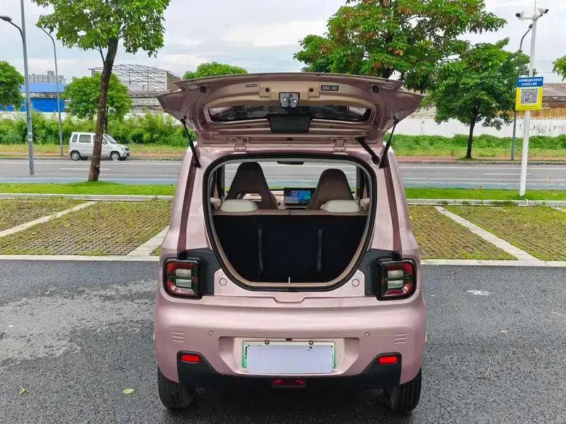Panda 2023 Model 200km Panda Mini Endurance Bear — миниатюра 14