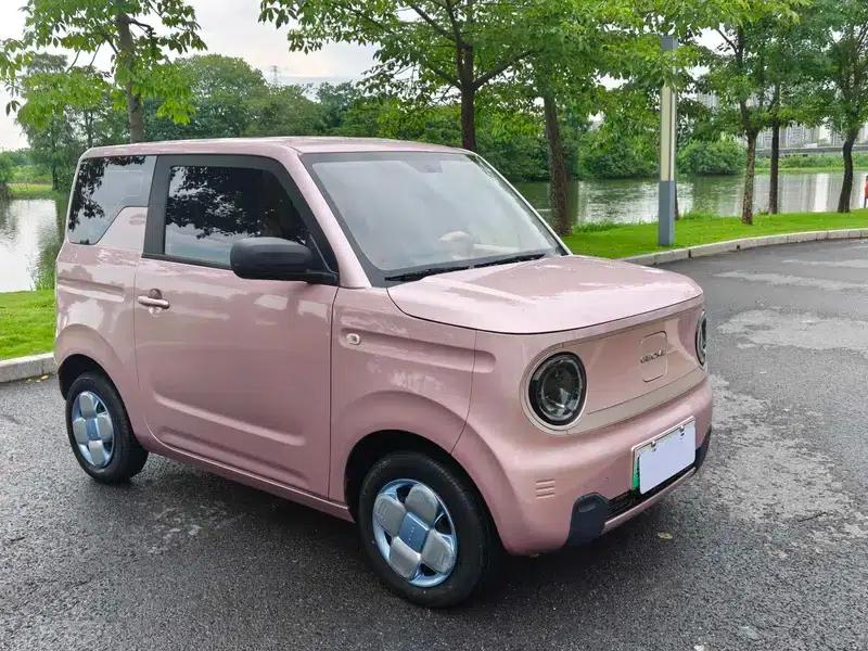 Panda 2023 Model 200km Panda Mini Endurance Bear — миниатюра 3