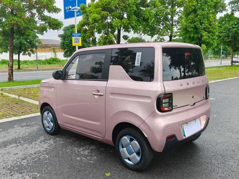 Panda 2023 Model 200km Panda Mini Endurance Bear — миниатюра 5