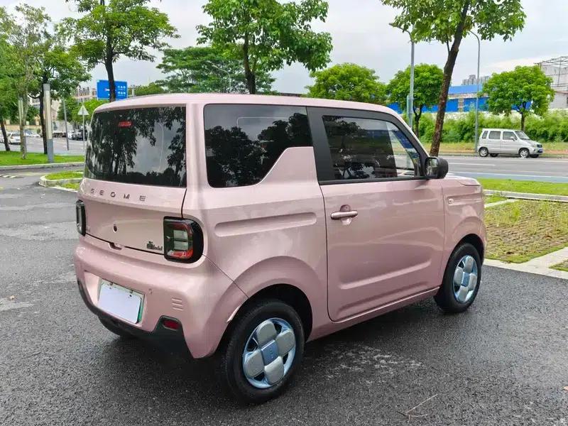 Panda 2023 Model 200km Panda Mini Endurance Bear — миниатюра 7