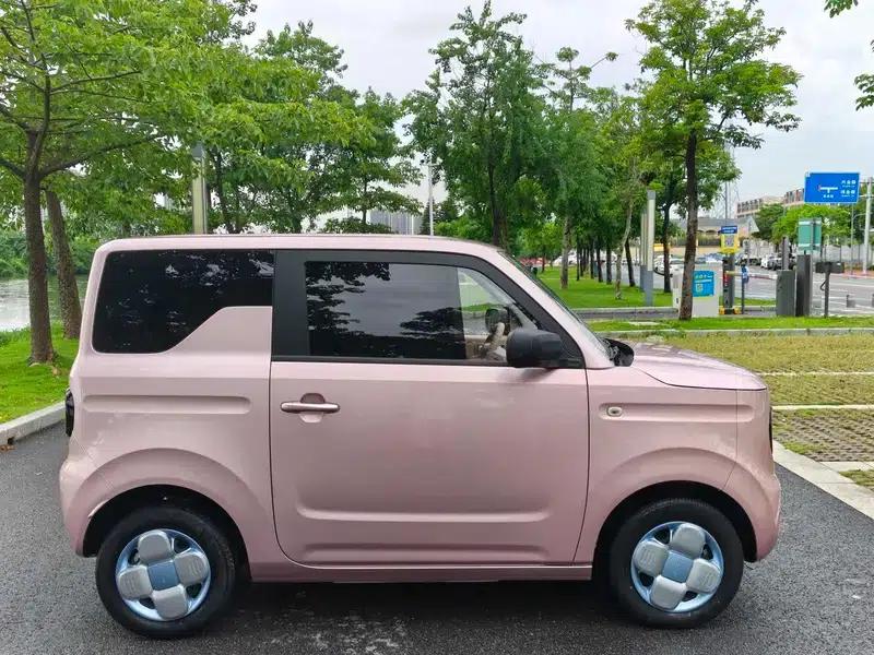 Panda 2023 Model 200km Panda Mini Endurance Bear — миниатюра 8