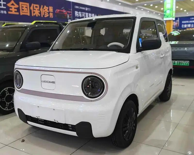 Panda 2023 Model 200km Panda Mini Endurance Bear — миниатюра 1