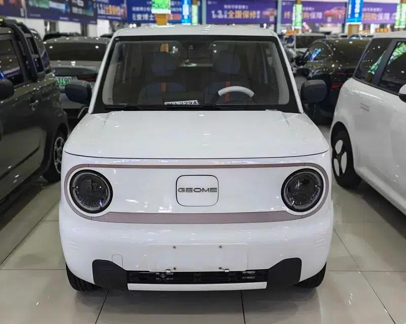 Panda 2023 Model 200km Panda Mini Endurance Bear — миниатюра 2