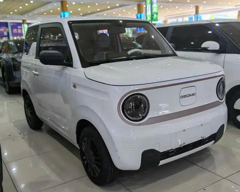 Panda 2023 Model 200km Panda Mini Endurance Bear — миниатюра 3