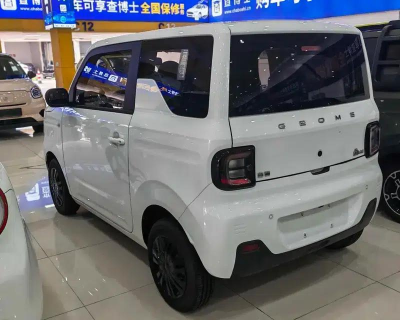 Panda 2023 Model 200km Panda Mini Endurance Bear — миниатюра 4