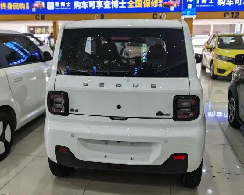 Panda 2023 Model 200km Panda Mini Endurance Bear — миниатюра 5