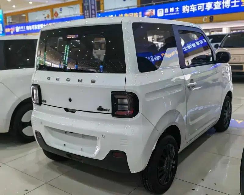 Panda 2023 Model 200km Panda Mini Endurance Bear — миниатюра 6