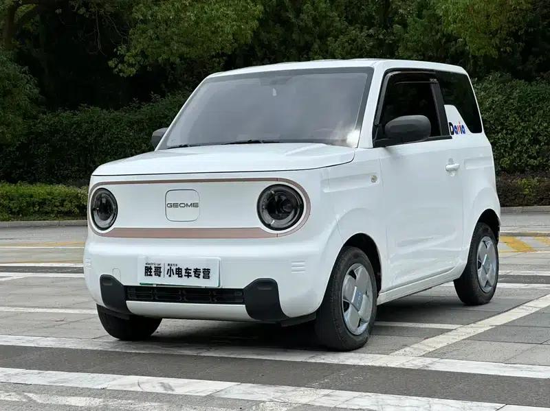 Panda 2024 Model 200km Panda Mini Endurance Bear — миниатюра 1