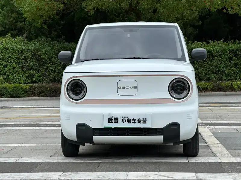 Panda 2024 Model 200km Panda Mini Endurance Bear — миниатюра 2