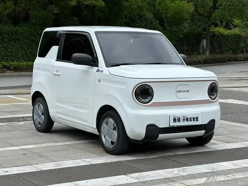 Panda 2024 Model 200km Panda Mini Endurance Bear — миниатюра 3
