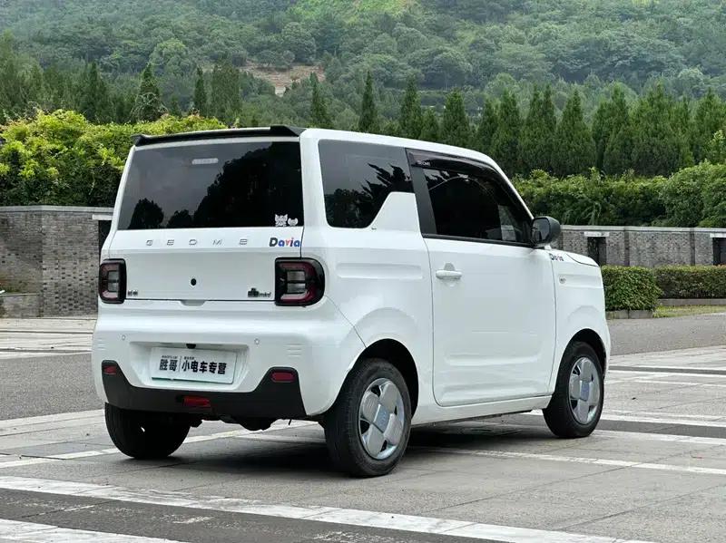 Panda 2024 Model 200km Panda Mini Endurance Bear — миниатюра 5