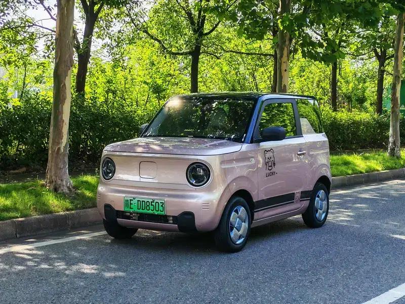 Panda 2023 Model 200km Panda Mini Endurance Bear — миниатюра 1